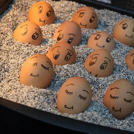 Forsthaus Gruena Betreibergesellschaft Mbh 켐니츠