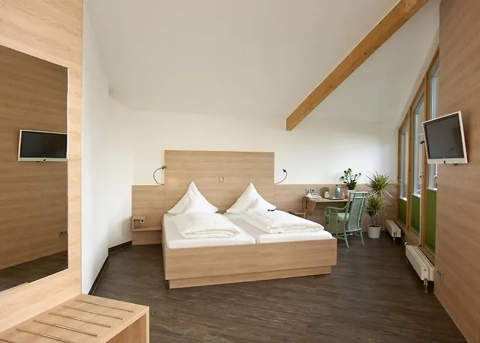 Forsthaus Gruena Betreibergesellschaft Mbh فندق شيمنيتز