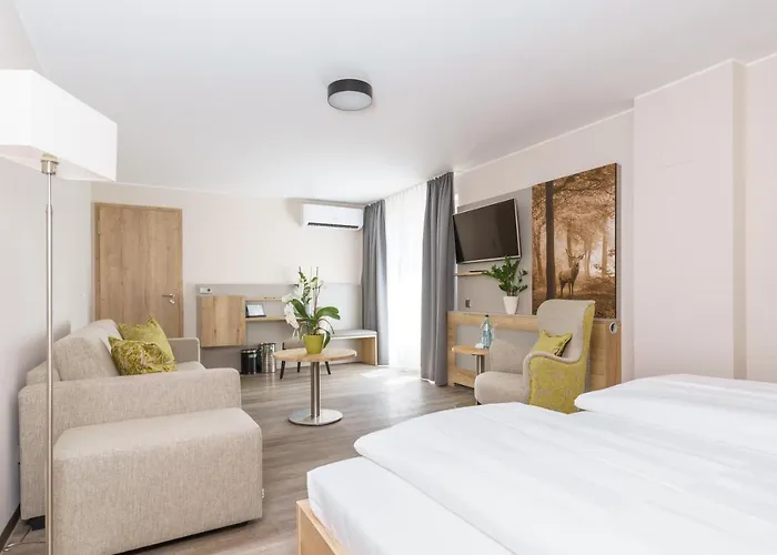 Forsthaus Gruena Betreibergesellschaft Mbh فندق شيمنيتز