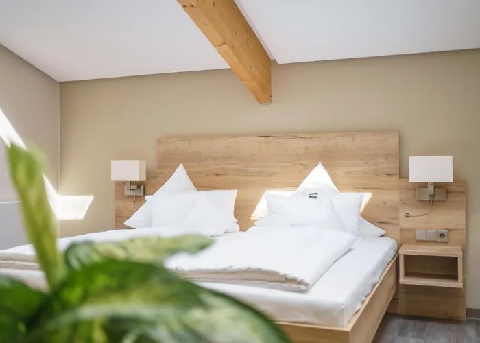 Forsthaus Gruena Betreibergesellschaft Mbh 4*